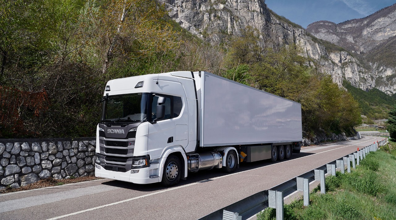 Professional truck driver